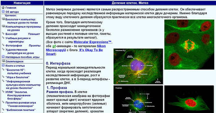 Статья: Механика митоза